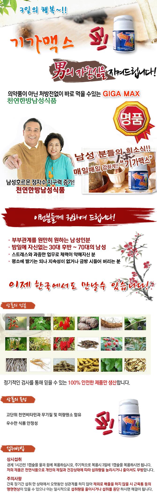 기가맥스.jpg